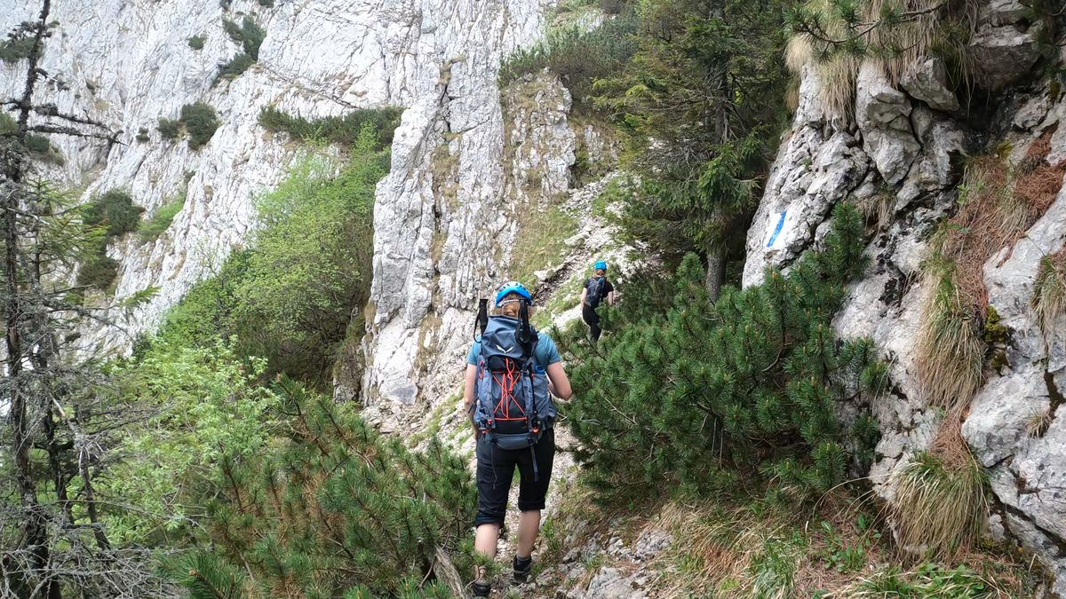 Brâna Caprelor - Brâul Ciorânga. Piatra Craiului, difficult hike
