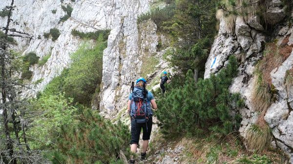 Brâna Caprelor - Brâul Ciorânga. Piatra Craiului, difficult hike