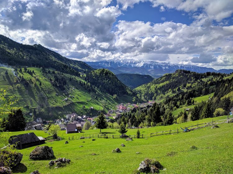 Bran Castle and Beyond: A Hiker's Journey in Moieciu de Sus